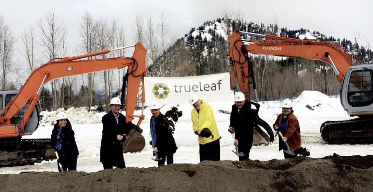 TRUE LEAF erhält Marijuana-Lizenz als nächstes? 1043529