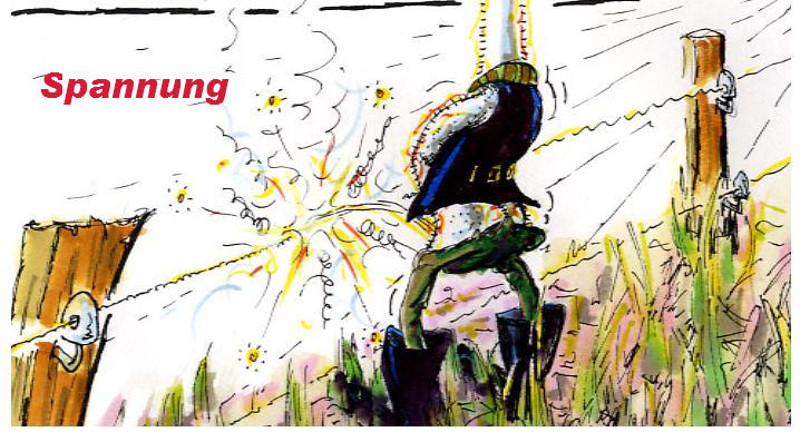 1.197.DAX Tipp-Spiel, Montag, 28.12.09 286902