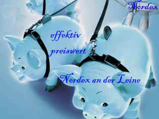 Windmaster Nordex 404691