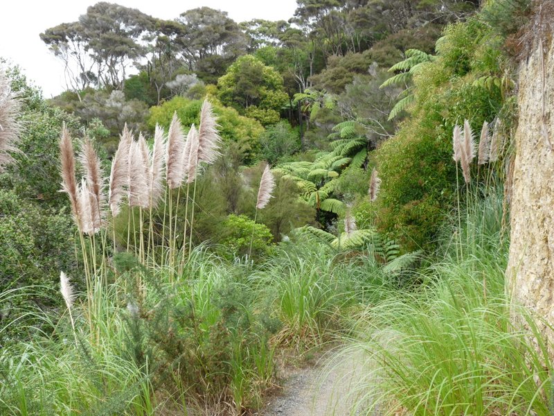 Banken in der Euro - Zone 589016