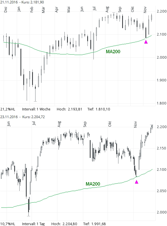 Der USA Bären-Thread 954535
