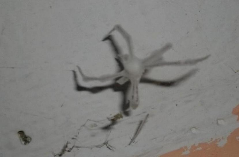 1.907.DAX Tipp-Spiel, Mittwoch, 03.10.2012 541533