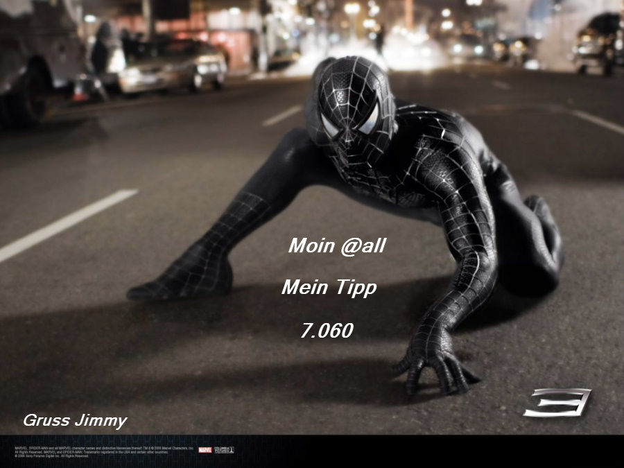 711.DAX Tipp-Spiel, Dienstag, 29.01.08, 17.45 Uhr, 144938