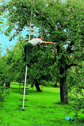 1.225.DAX Tipp-Spiel, Montag, 08.02.10 297514