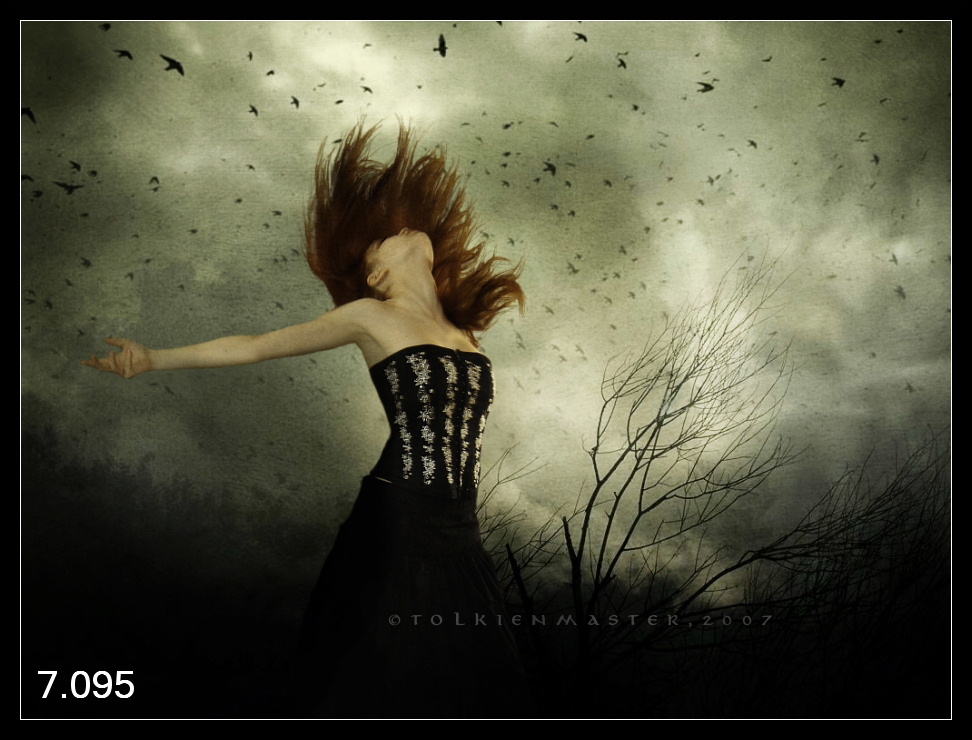 795.DAX Tipp-Spiel, Donnerstag, 29.05.08, 17:45 165902