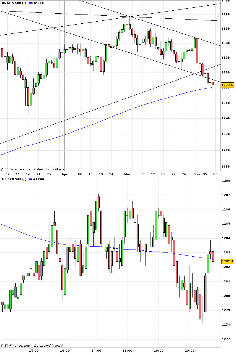 Bear Zocks - daily 410580