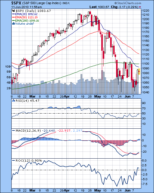Der USA Bären-Thread 326094