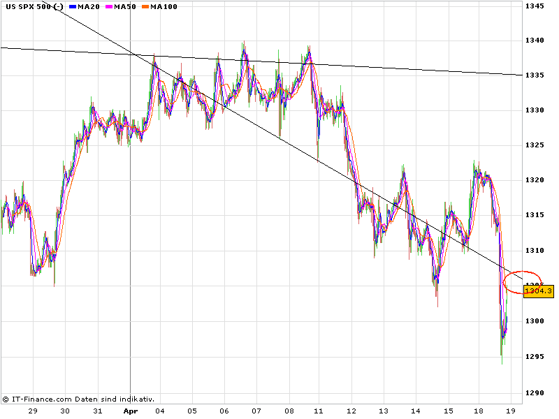 Bear Zocks - daily 396697