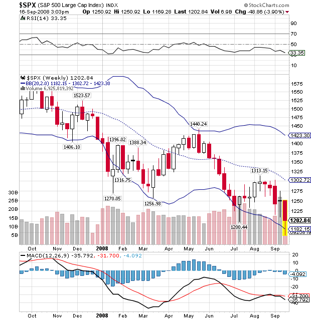 Der USA Bären-Thread 186762