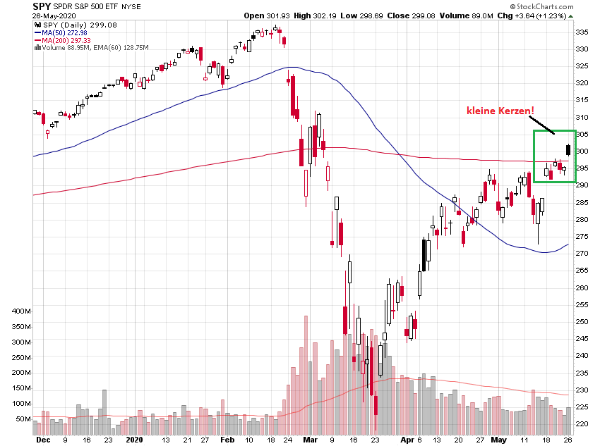 Der USA Bären-Thread 1180949