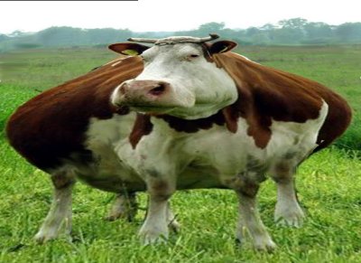 Jetzt kommt die Rally bis 8500 113279