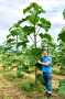 DE000A2LQUV1 - WEGrow AG 33800963