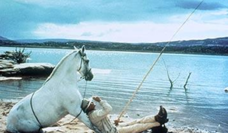 Apple Short Only 830644