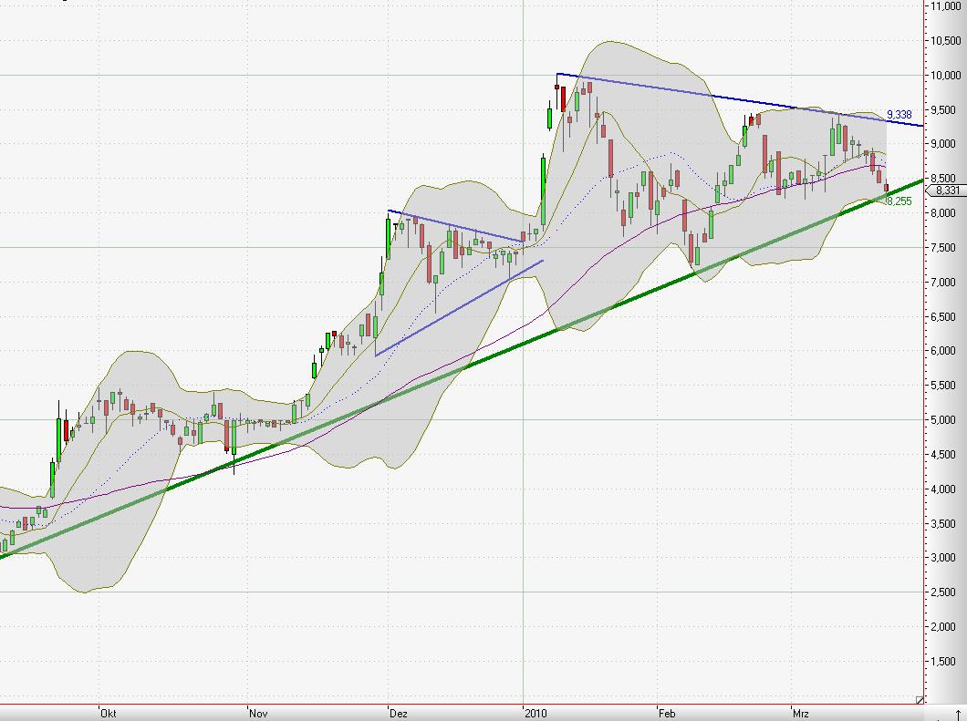 Die STEICO......Engagement für die Umwelt..... 307842