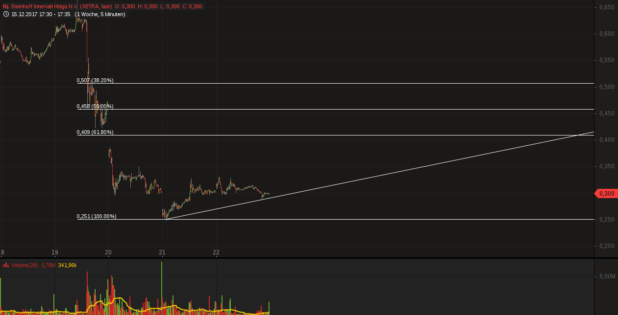 Steinhoff holding 1031389