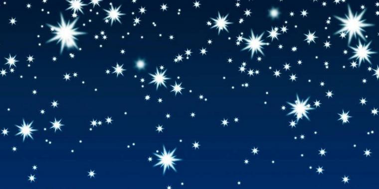 Der USA Bären-Thread 1057069