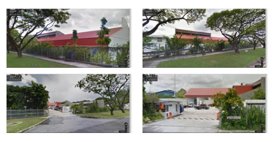 Stevia Corp. Provides Profit Guidance ! 839809