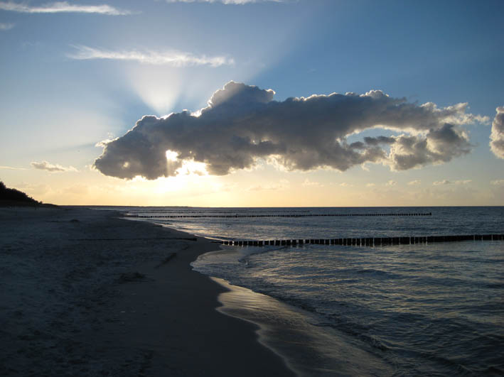 Der USA Bären-Thread 257400