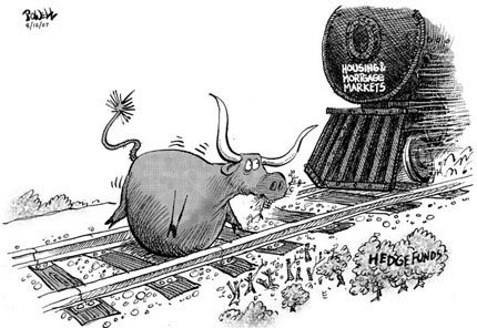 Der USA Bären-Thread 221297