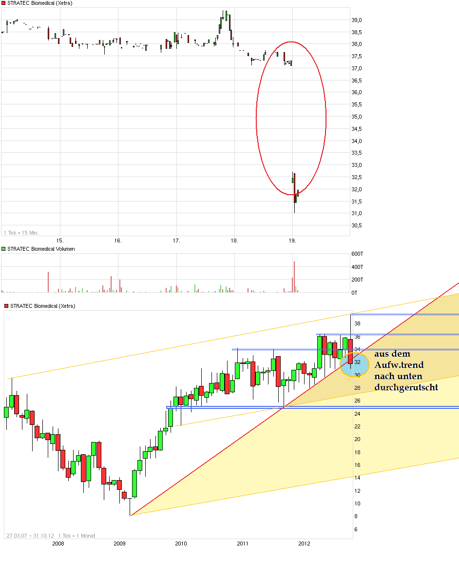 Stratec Biomedical System WKN:728900 bringen am 545768