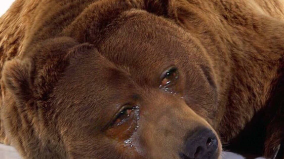 AMD- Mit Zen und Vega in eine bessere Zukunft 956978