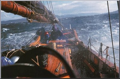 Thompson Creek Metals (Blue Pearl Mng) 101493