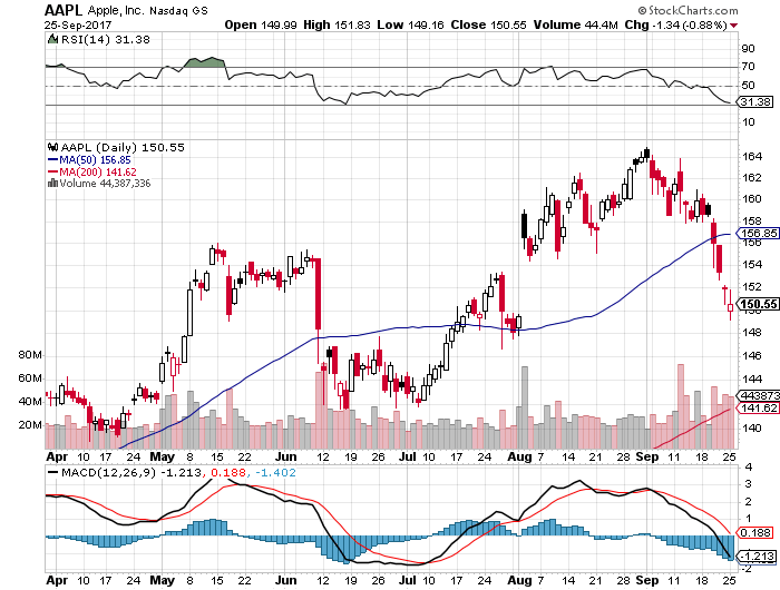 Der USA Bären-Thread 1014528