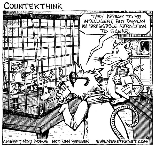 Künstliche Süßstoffe sind sehr schädlich! 66387