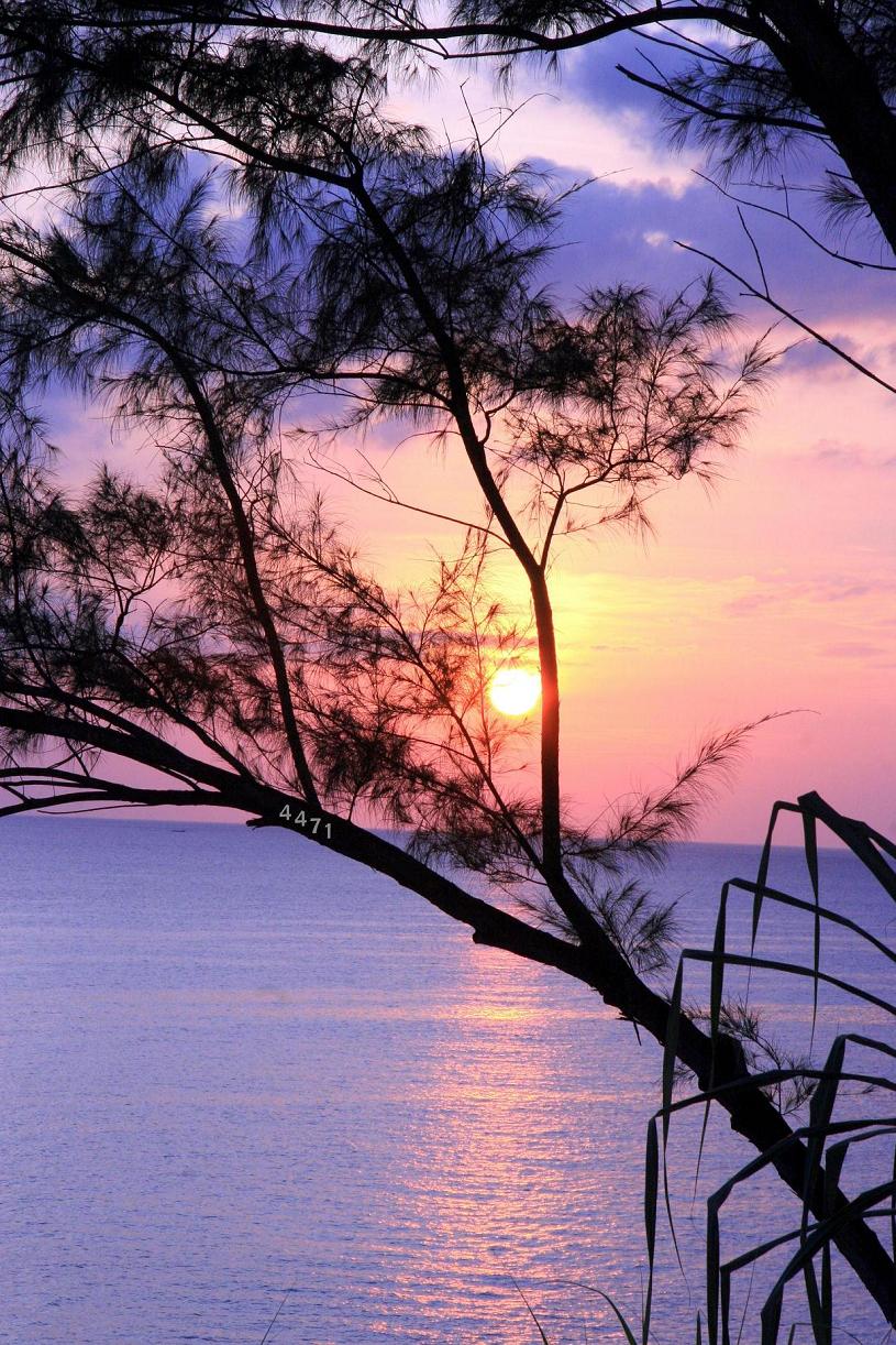 1027.DAX-Tipp-Spiel, Mittwoch 29.04.09 229784