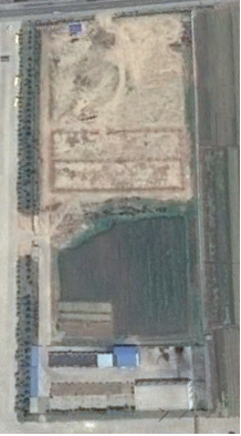 Ab hier geht ´s nach oben - Sunwin - Stevia 748489