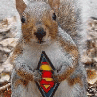 Aixtron geht seinen Weg 209770