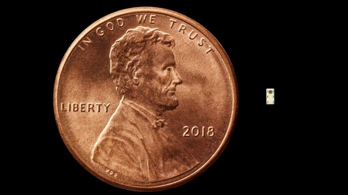 Der USA Bären-Thread 1077166