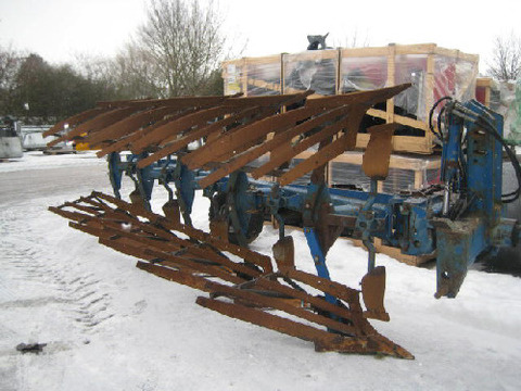 Der USA Bären-Thread 332434