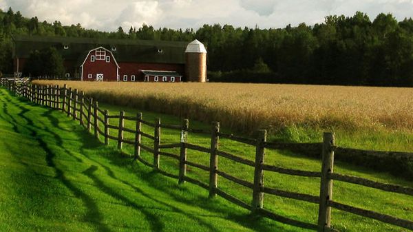 Positive Zukunft mit Verity Corp.(VRTY) 604465