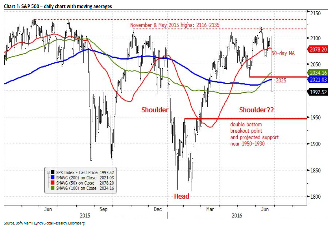 Der USA Bären-Thread 923653