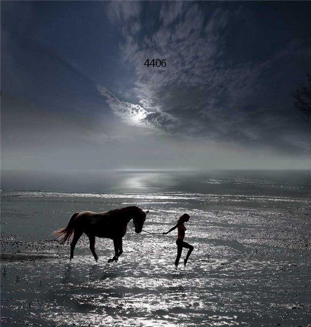 967.DAX Tipp-Spiel,Montag,02.02.09, 17.45 Uhr 213566