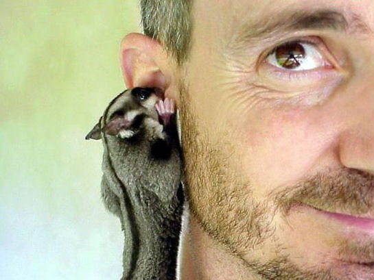 ►PTT-Trading 9. KW 151075