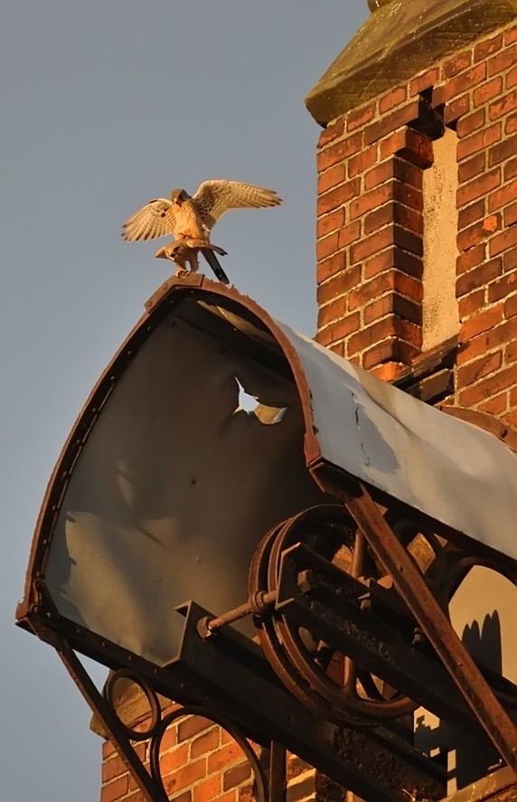 Neuer Thread mit rein sachlichen Beiträgen 456195