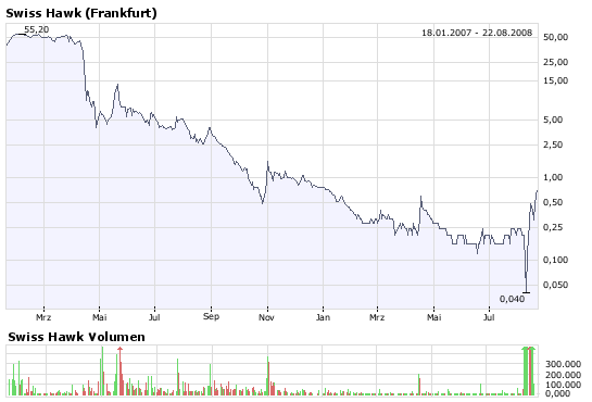  Swiss Hawk - Aussichtsreicher Finanzdienstleister 181621