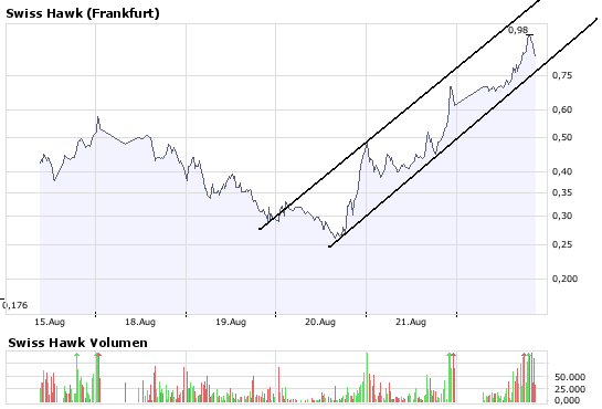  Swiss Hawk - Aussichtsreicher Finanzdienstleister 181778