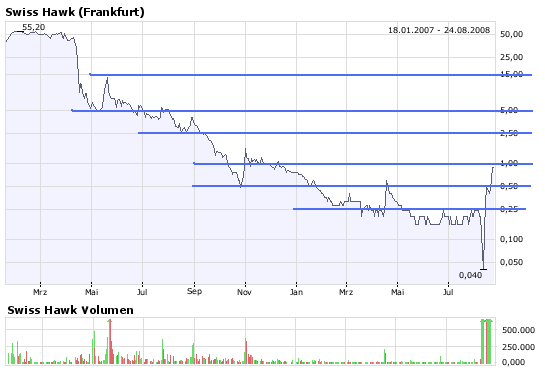  Swiss Hawk - Aussichtsreicher Finanzdienstleister 181967