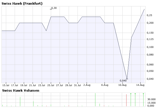  Swiss Hawk - Aussichtsreicher Finanzdienstleister 180179