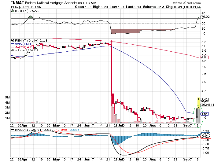 Fannie Mae - Chance auf Verdreifachung bis Juli 1274059
