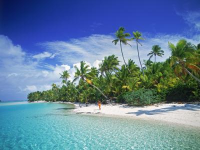 Thompson Creek Metals (Blue Pearl Mng) 120755