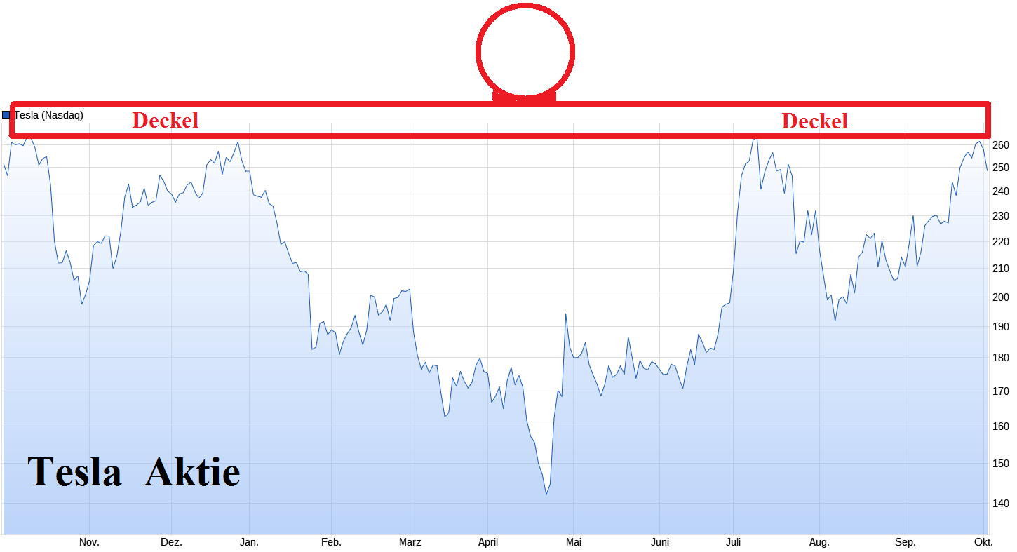 Tesla - Autos, Laster, Speicher und Solardächer 1449861