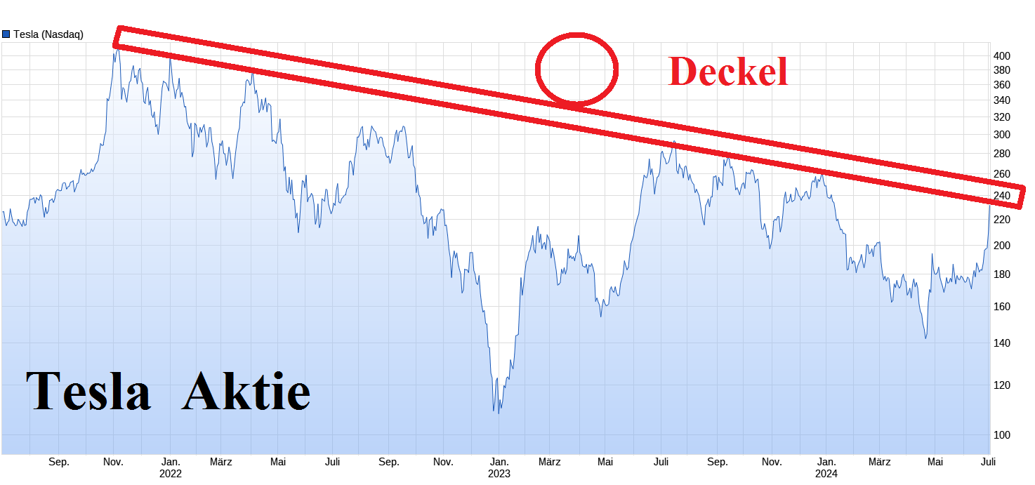 Tesla - Autos, Laster, Speicher und Solardächer 1437125