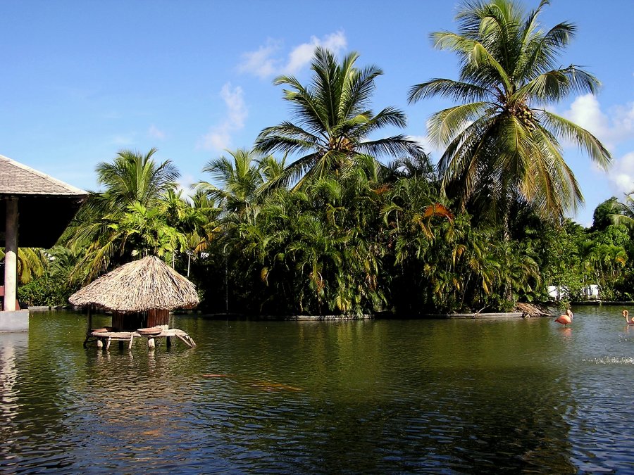 Die Vergessene Bank 604733