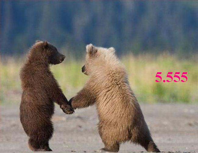 1.217.DAX Tipp-Spiel, Mittwoch, 27.01.10 294689