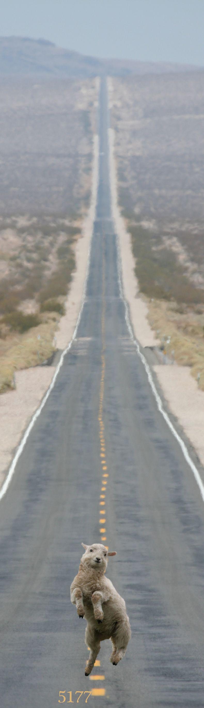 Die Links zu den Sternenkinder (DAX Spiel) 237338