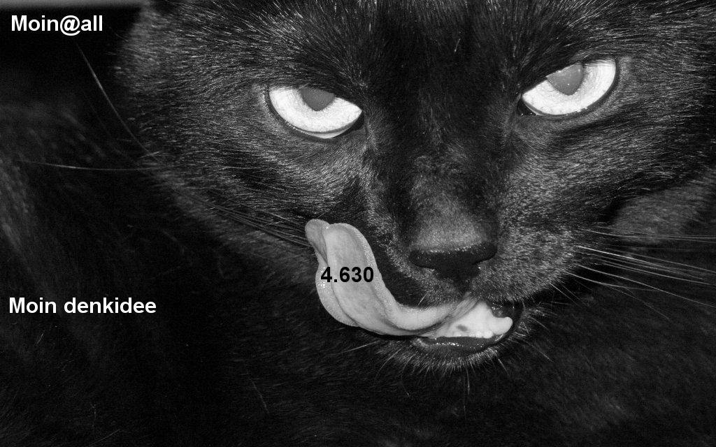 965.DAX Tipp-Spiel,Do,29.01.09, 17.45 Uhr 213242